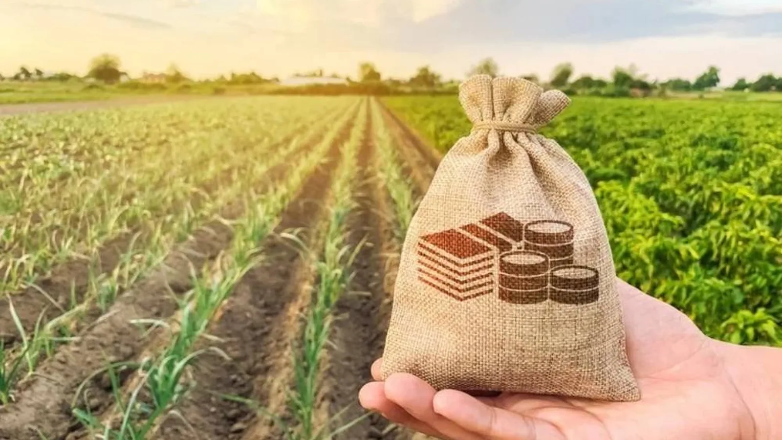 Crédito rural perde força e acende alerta no campo com alta da inadimplência