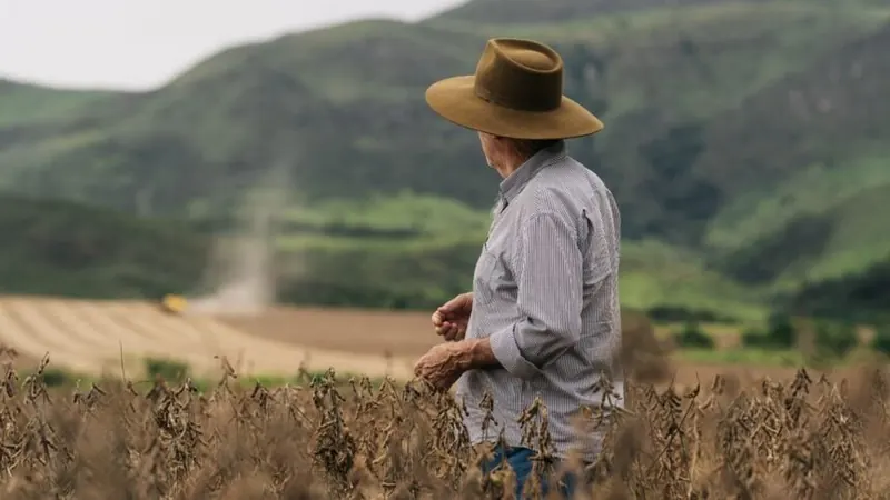Agro Acumula R$ 256 Bilhões em Dívidas e Crise Ainda Deve Persistir