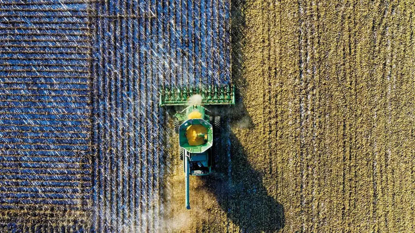 Recuperação judicial no agronegócio “dispara” 21,9% no 1º tri de 2026