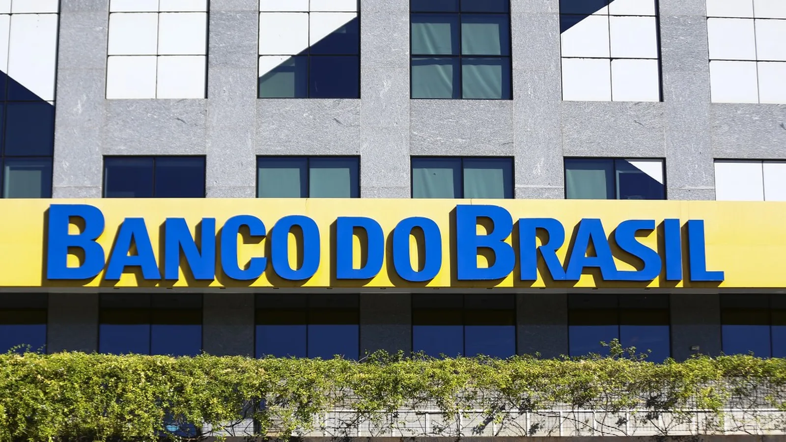 Banco do Brasil espera renegociar R$ 30 bilhões de dívidas rurais com taxas controladas