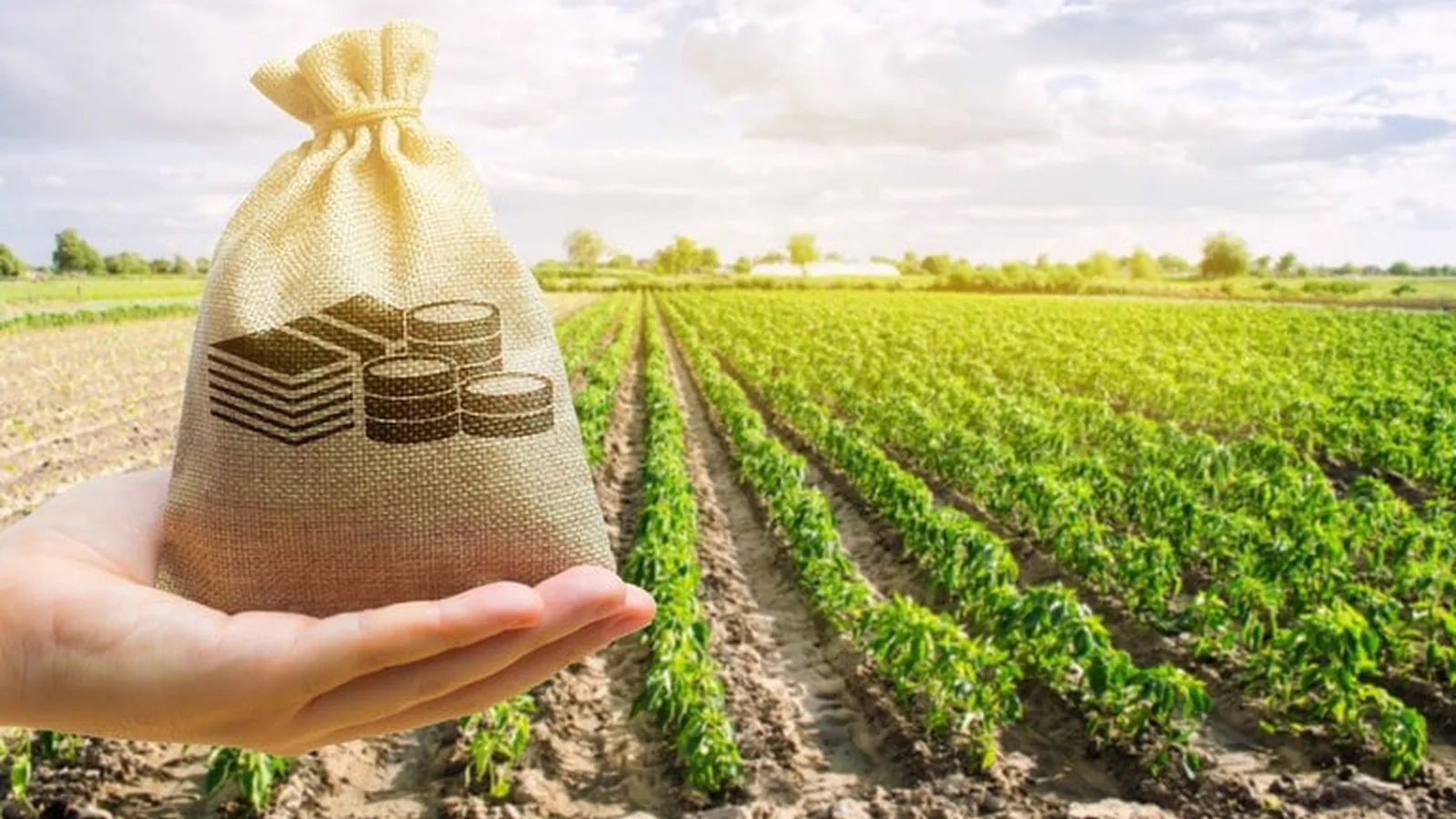 CMN aprova mudanças em crédito rural e nas normas do Pronamp