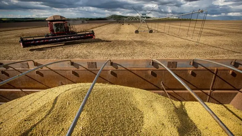 A seca levou a safra, mas a Justiça segurou o banco: produtor de Campo Grande suspende cobrança de dívida rural