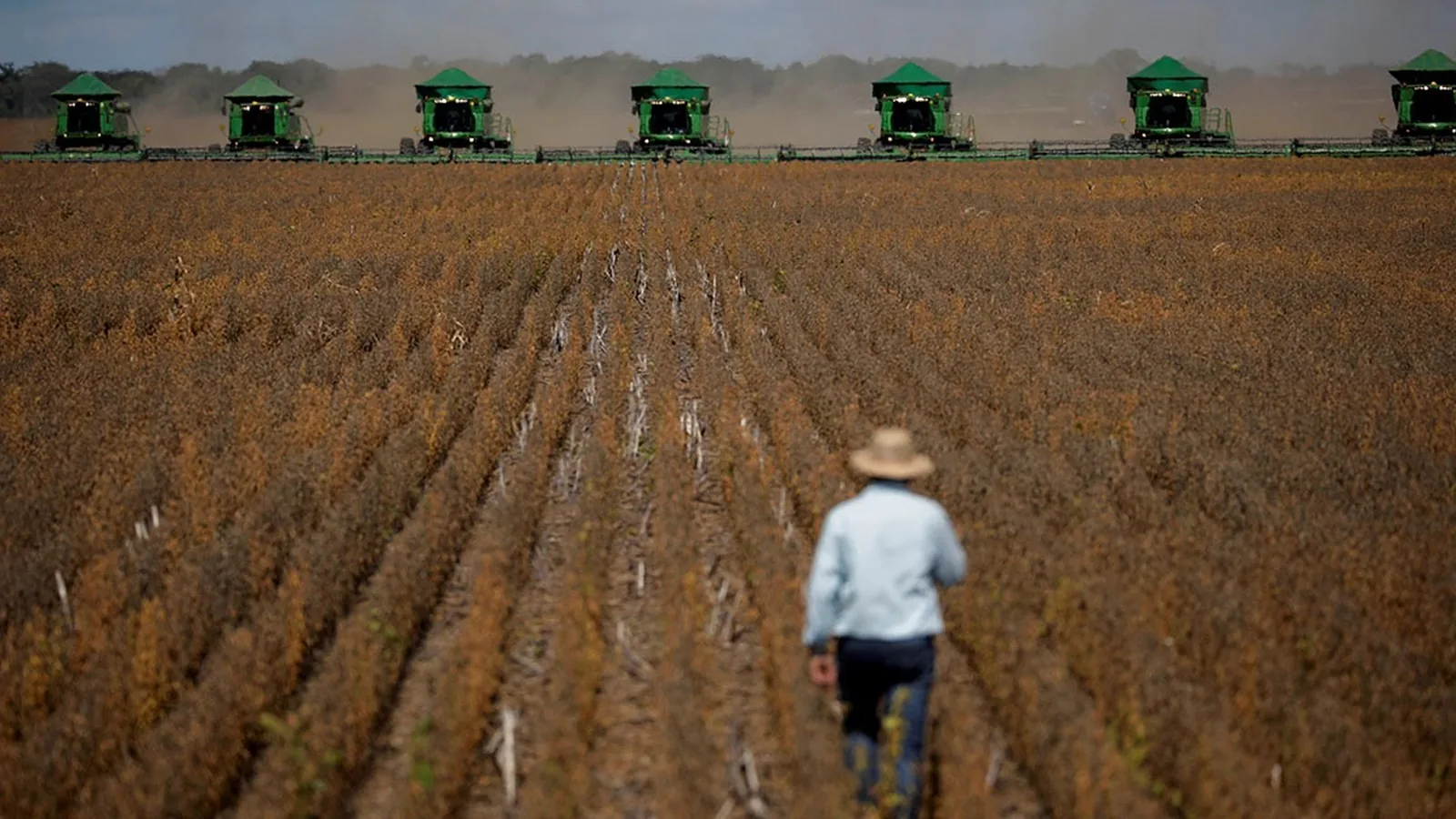 Renegociação de dívidas rurais fica mais flexível; entenda o que muda para produtores