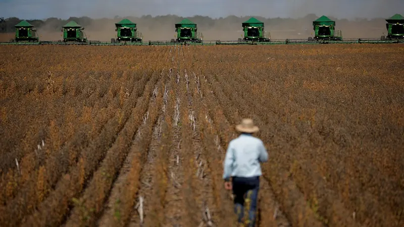Renegociação de dívidas rurais fica mais flexível; entenda o que muda para produtores