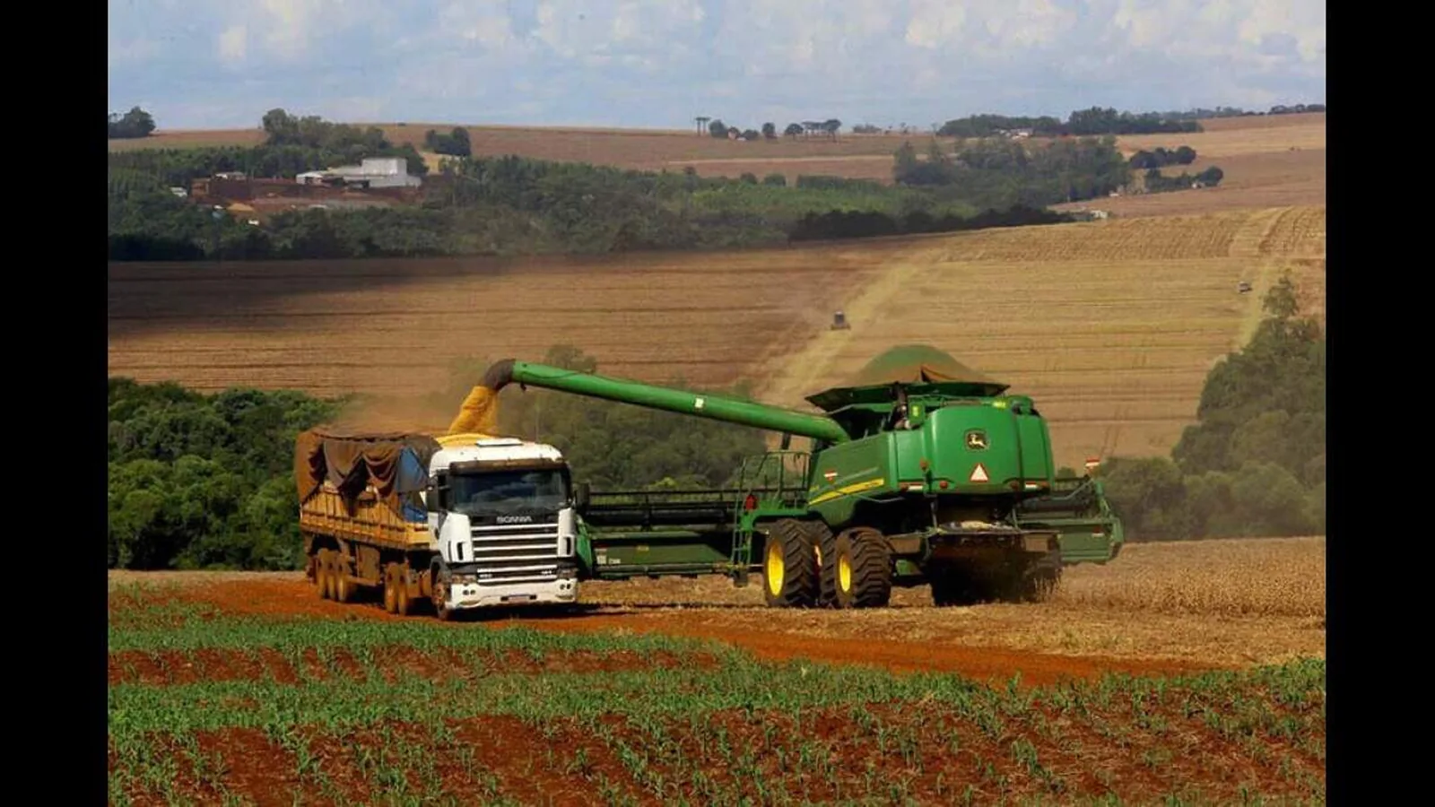 Crédito Rural: CMN facilita renegociação de dívidas