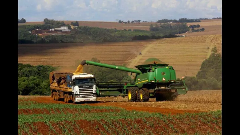 Crédito Rural: CMN facilita renegociação de dívidas