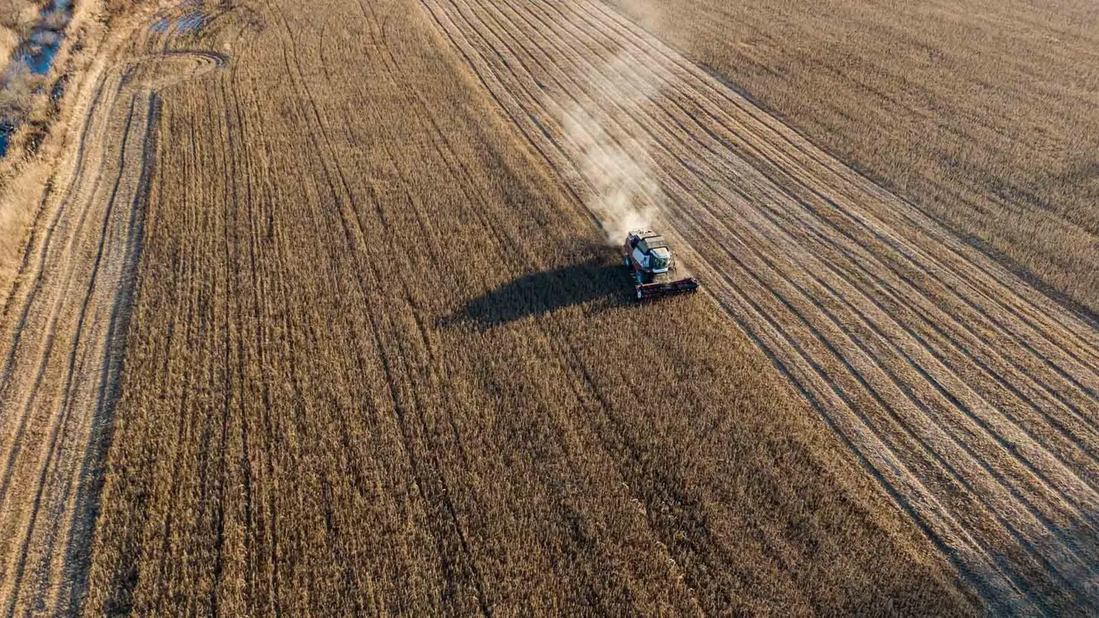 BB inicia renegociação de dívidas do agro via MP 1.376