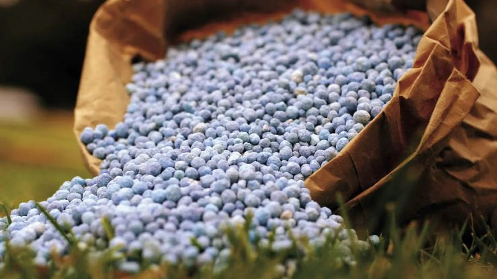 CMN amplia acesso da cadeia de fertilizantes a crédito do plano Brasil Soberano