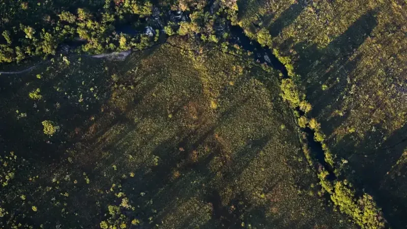 Financiamentos de projetos rurais sustentáveis terão juros mais baixos