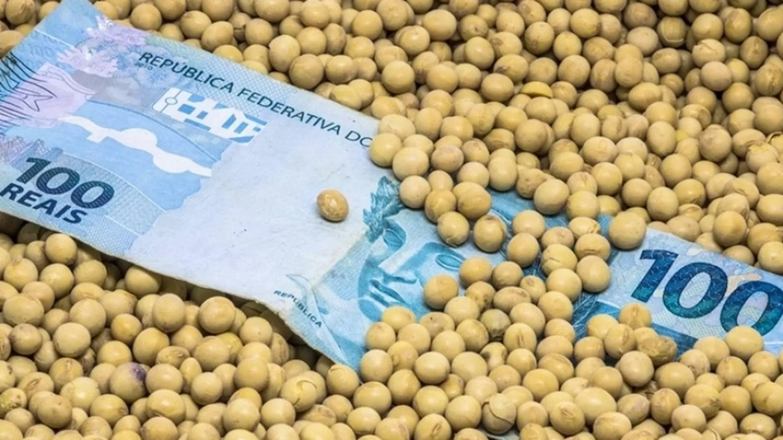 Inadimplência do crédito rural bate recorde e chega a 8,8% em julho