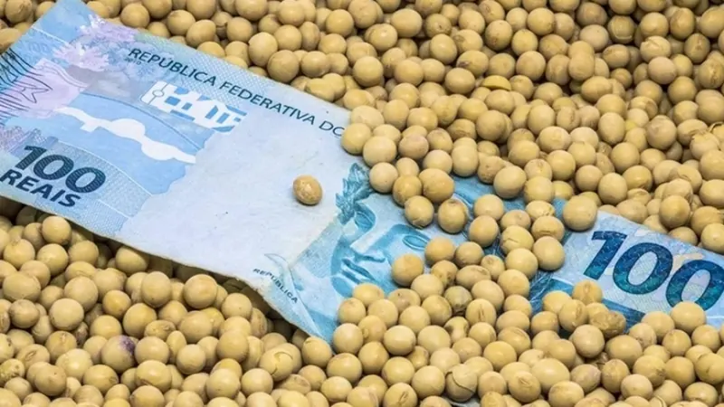 Inadimplência do crédito rural bate recorde e chega a 8,8% em julho