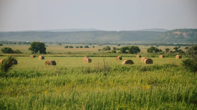 Dívida rural: o que a MP 1.376 muda, na prática