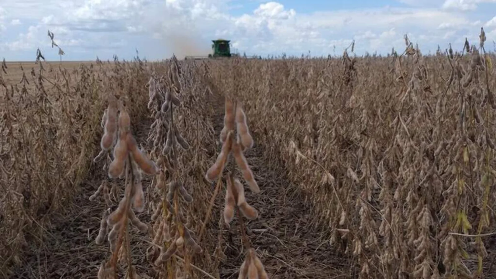 CMN expande renegociação de dívidas para produtores rurais