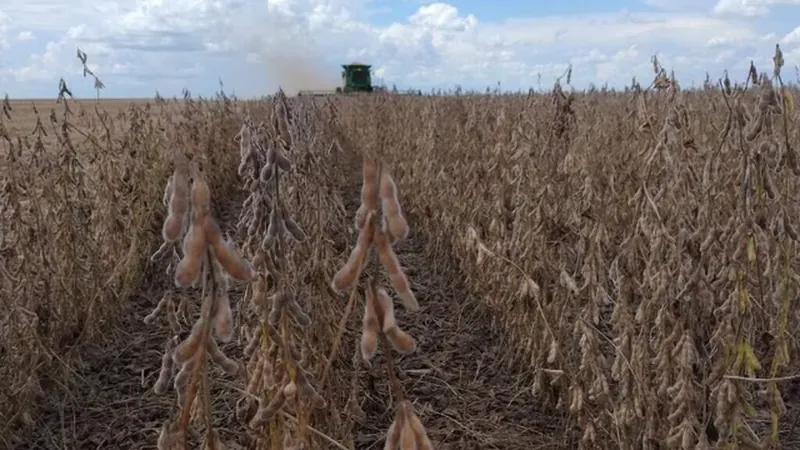 CMN expande renegociação de dívidas para produtores rurais