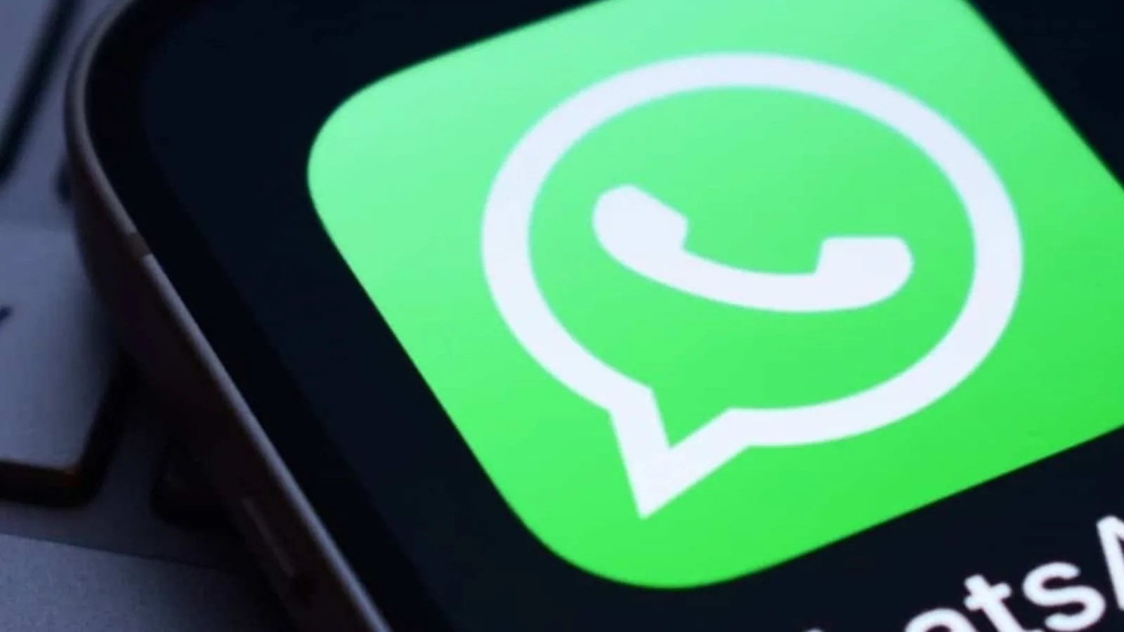 WhatsApp Business terá novas taxas a partir de outubro; entenda as mudanças