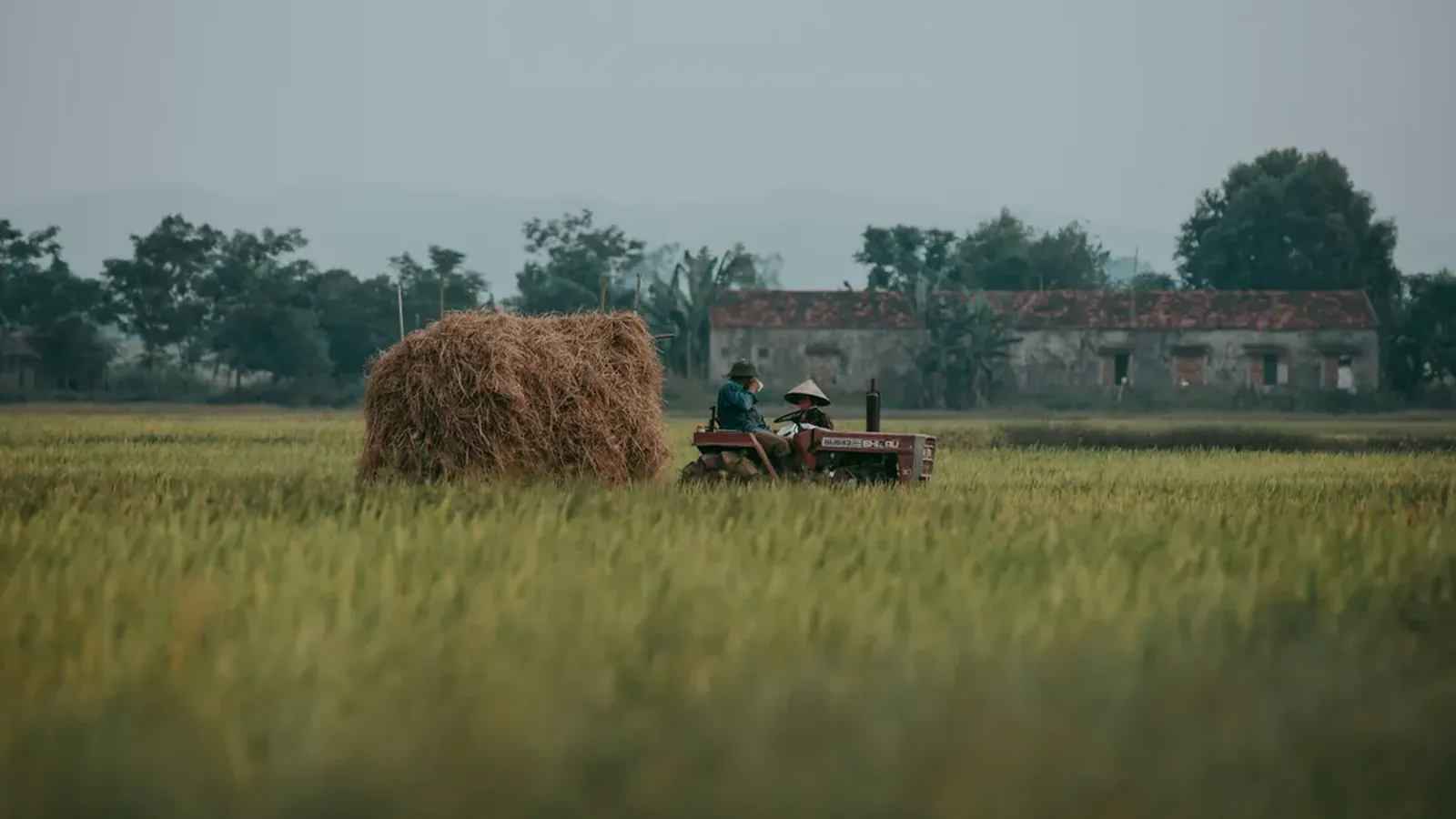 Poupança rural tem saques líquidos de R$ 1,06 bilhão