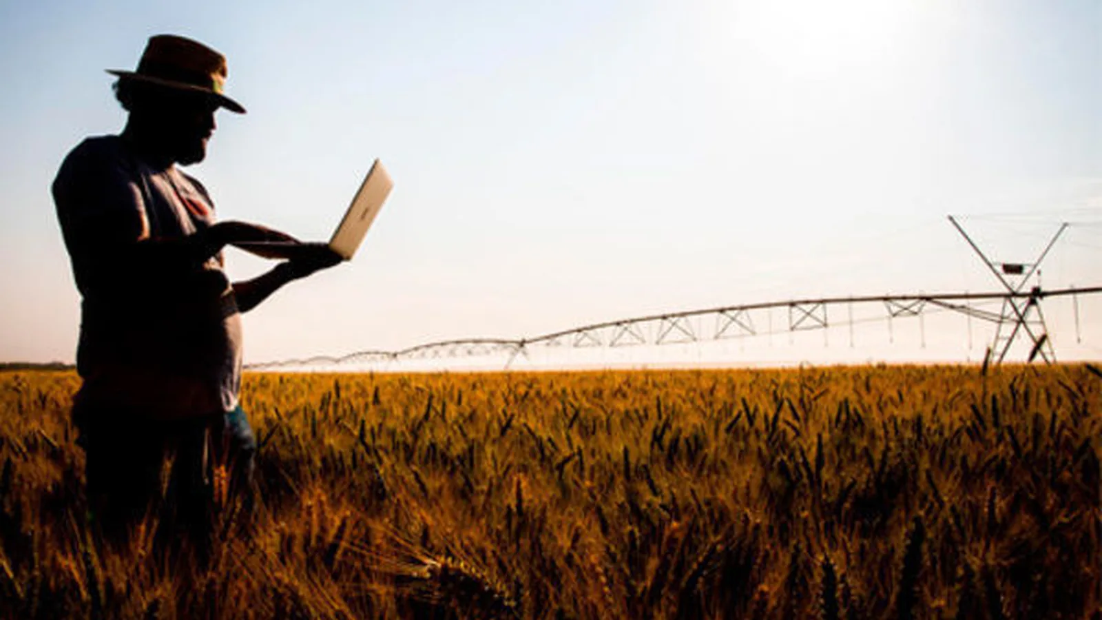 Crédito rural encolhe 26% e acende alerta no campo