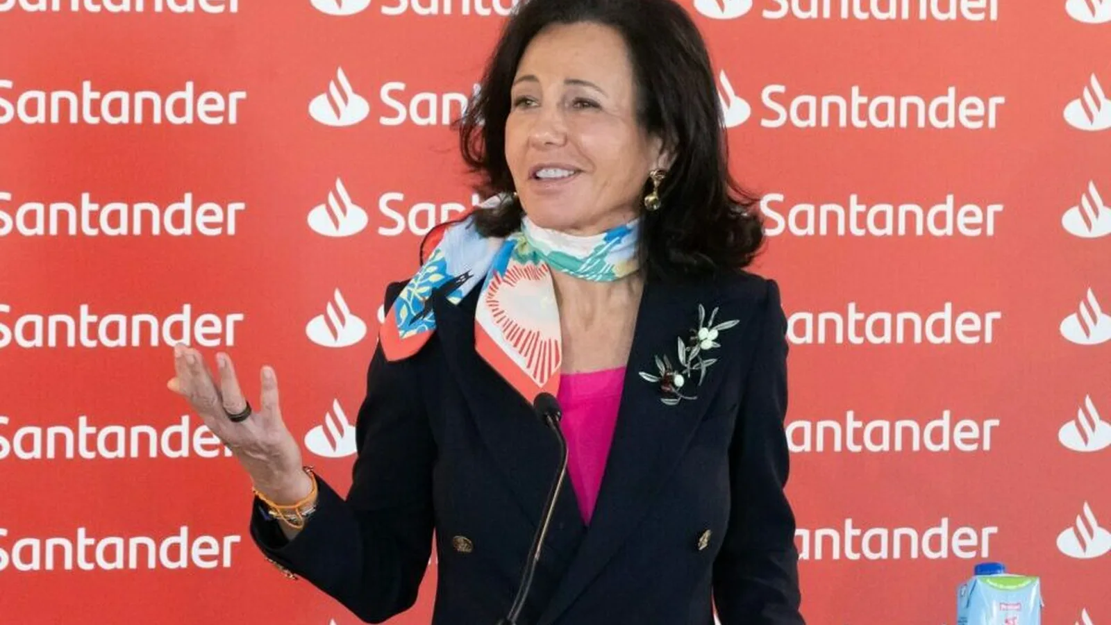 Ana Botín e CEO dos maiores bancos europeus escrevem aos líderes da UE a pedirem travão a novos requisitos de capital