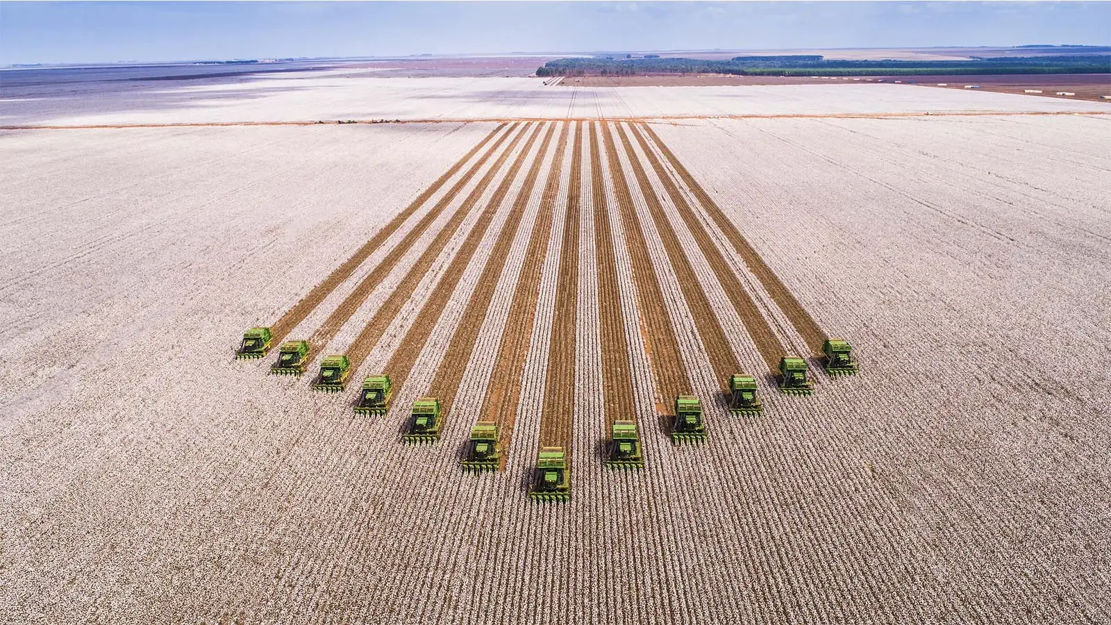 “É uma LCA”. O diagnóstico do mercado sobre as CPRs da SLC Agrícola