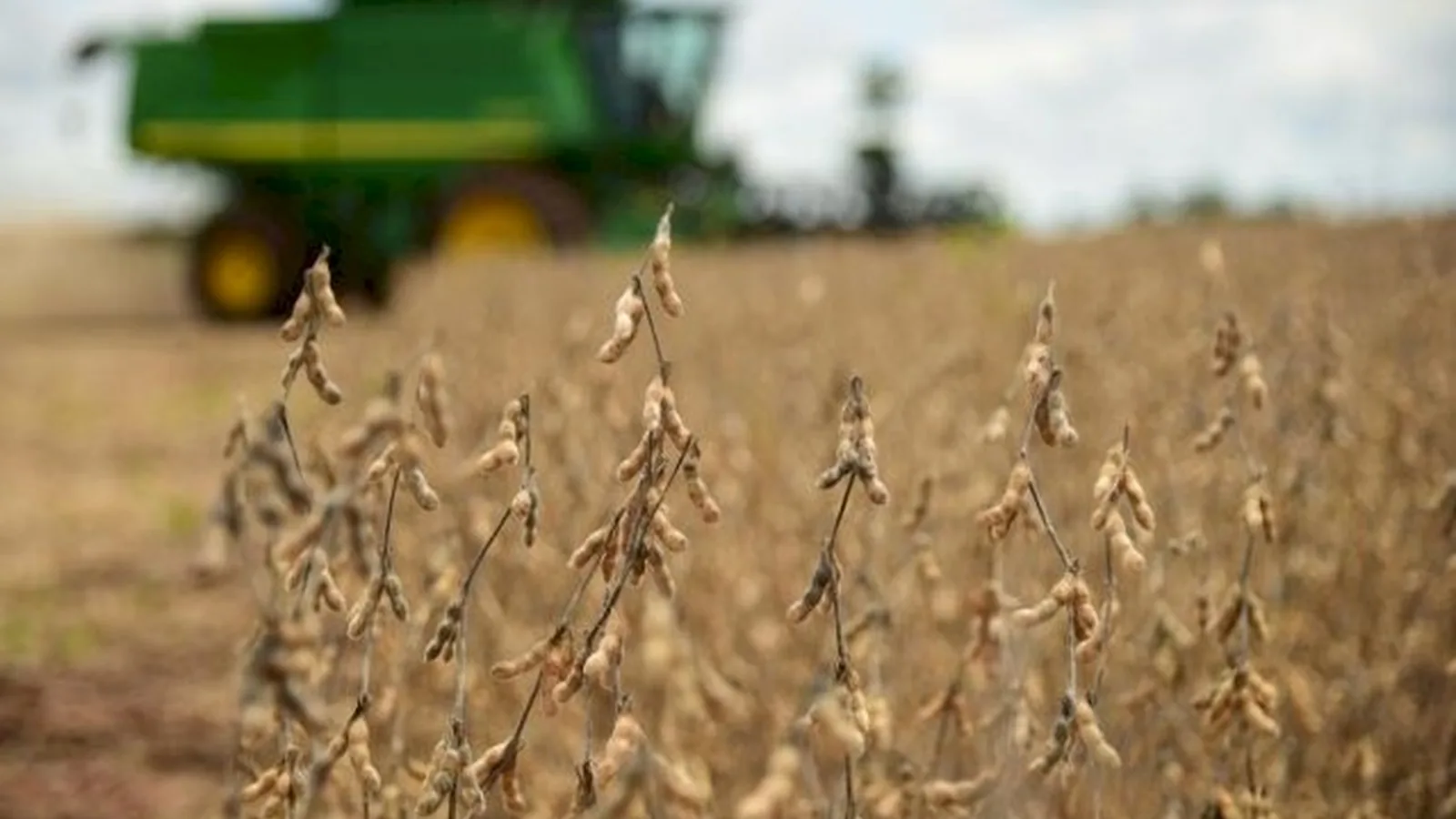 Mesmo com agro endividado, Mato Grosso do Sul mantém inadimplência baixa no FCO