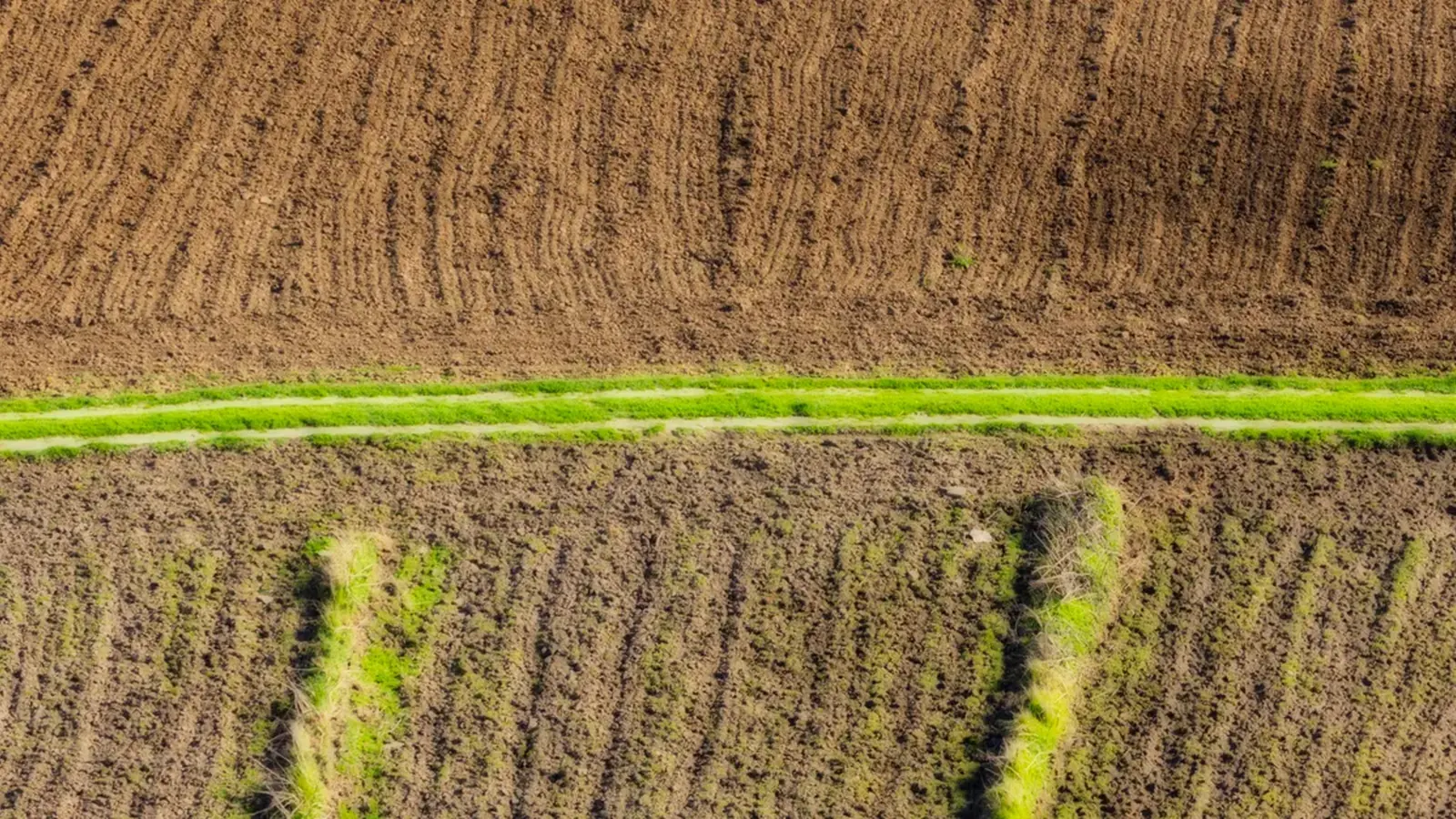 Bancos assumem fazendas para recuperar R$ 48 bi no agro