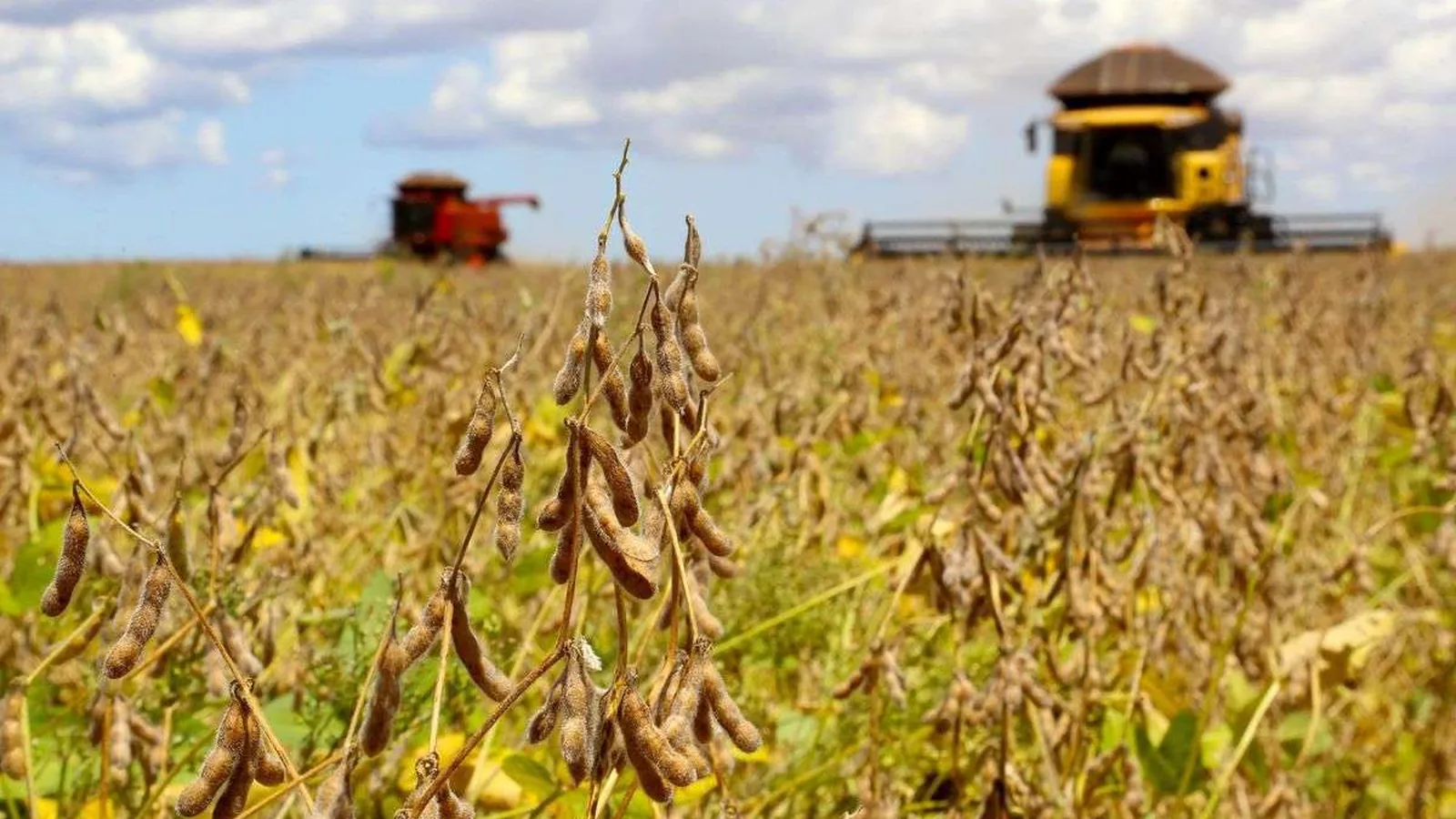 Dívida bilionária faz bancos retomarem fazendas e acende alerta no agro brasileiro