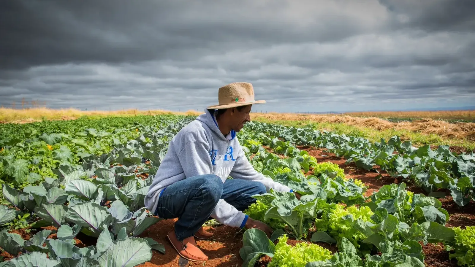 Renegociação de dívidas rurais não chega ao produtor, diz bancada do agro