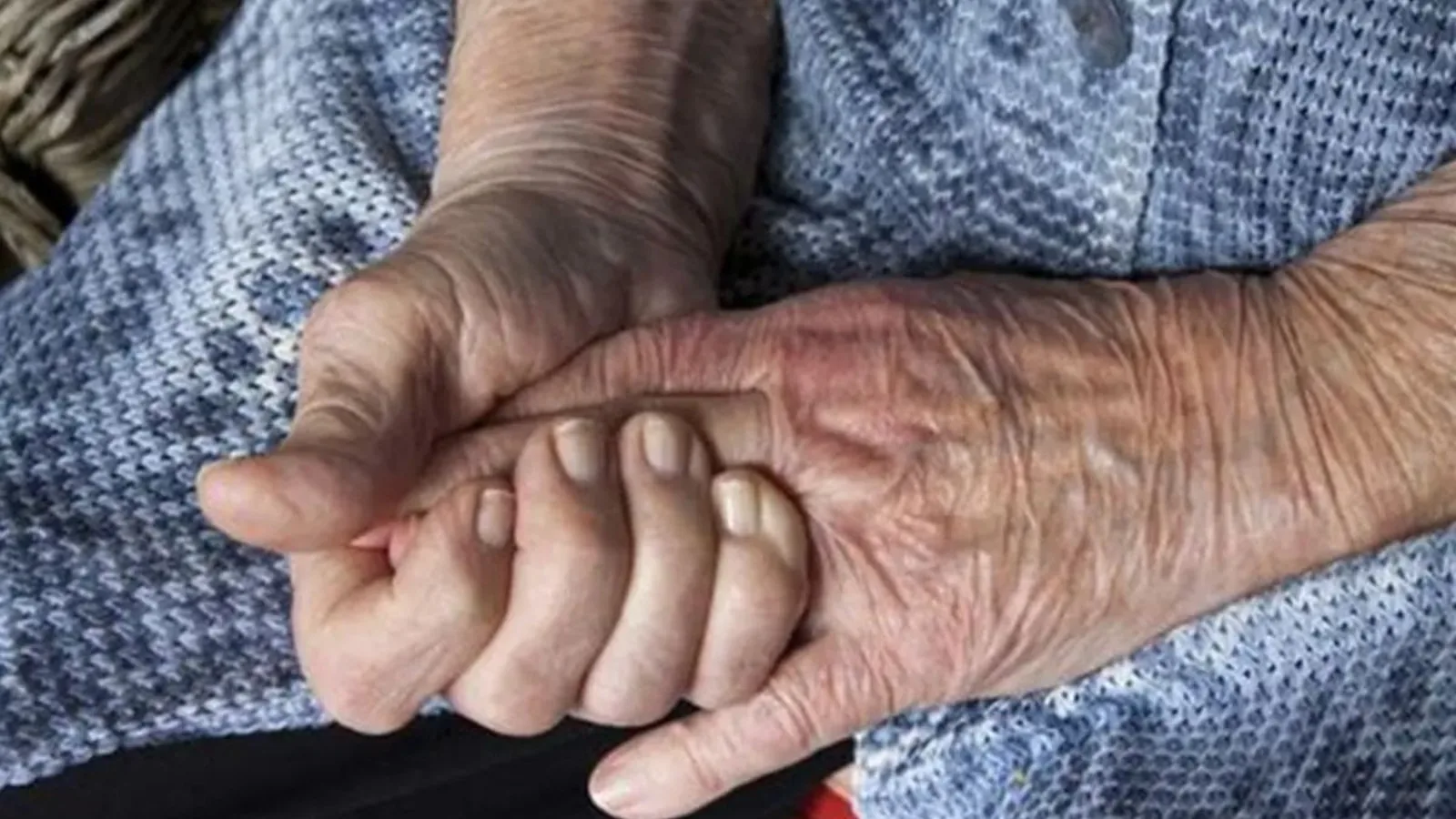 'Banco da família': número de idosos inadimplentes cresce 132% em dez anos, aponta Serasa