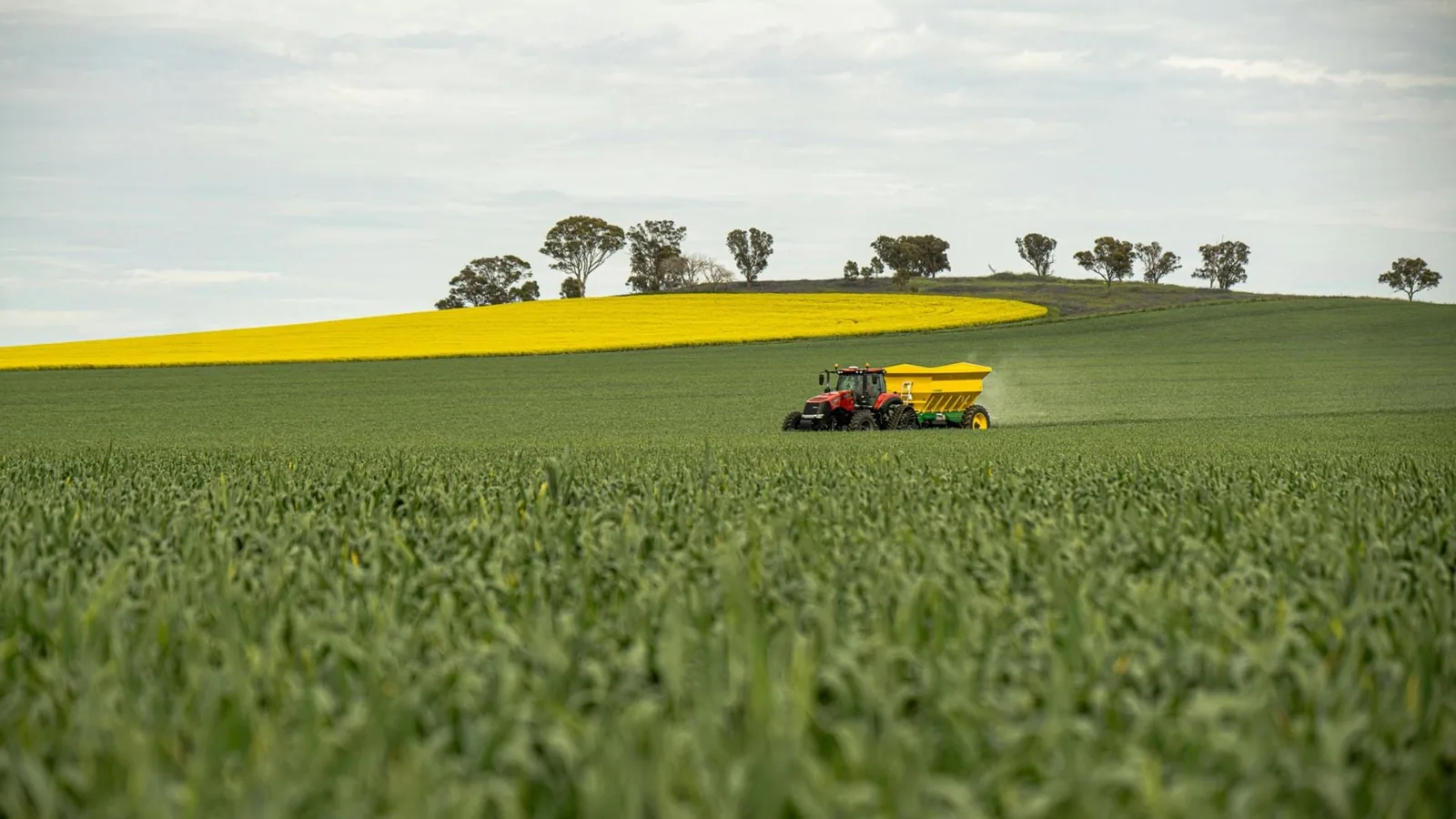 Aumento de Leilões de Propriedades Rurais Reflete Crise no Setor Agrícola