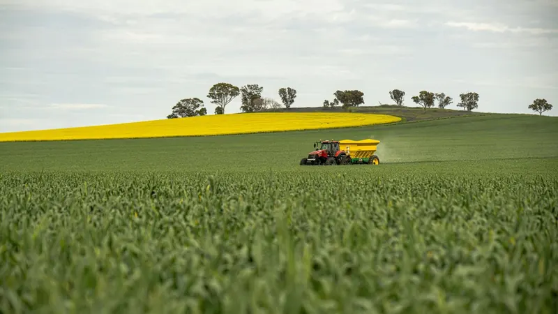 Aumento de Leilões de Propriedades Rurais Reflete Crise no Setor Agrícola