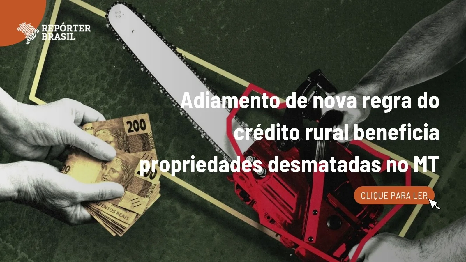 Adiamento de nova regra do crédito rural beneficia propriedades desmatadas no MT