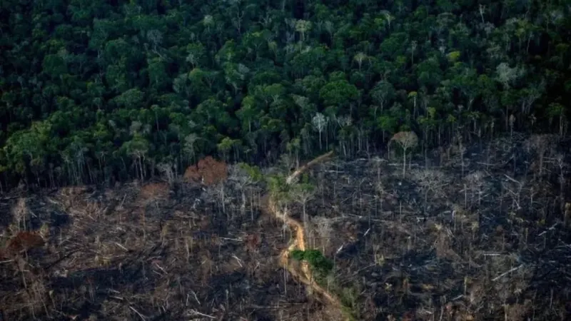 Crédito rural financiou R$92,4 bilhões em áreas com alerta ambiental