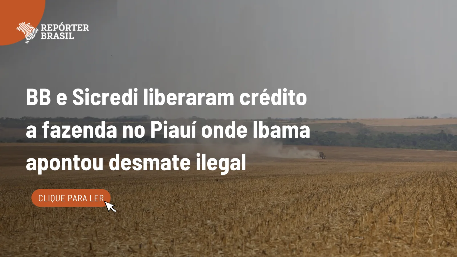 BB e Sicredi liberaram crédito a fazenda no PI onde Ibama apontou desmate ilegal