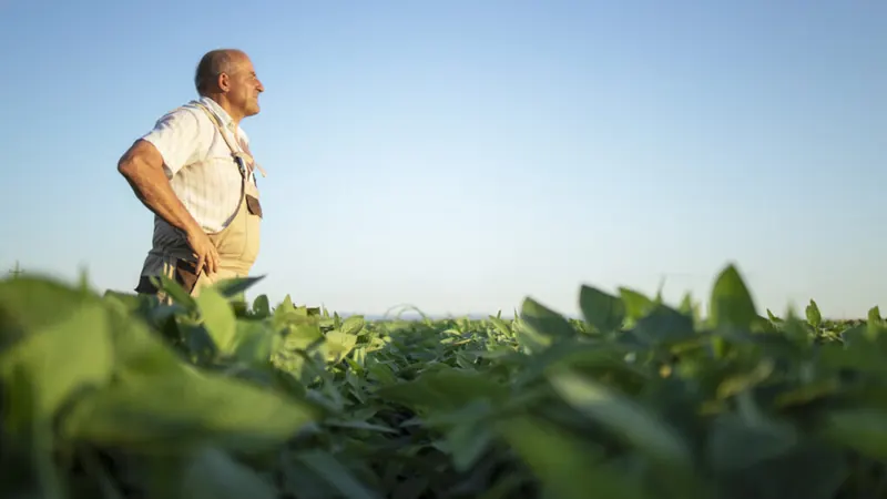 Inadimplência do crédito rural chega a recorde de 9,7%, aponta Cepea