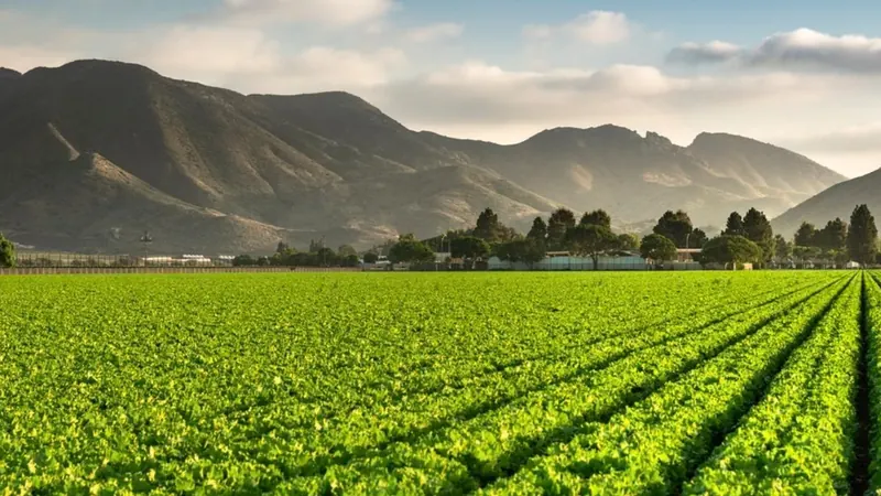 Cerca de 15% do crédito rural concedido entre 2019 e 2025 foi para áreas com alertas ambientais