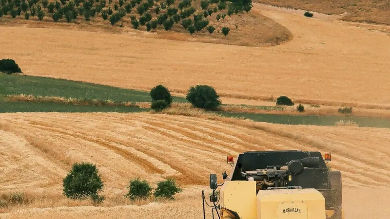 Crédito Rural: MP de Renegociação da Dívida do Agronegócio