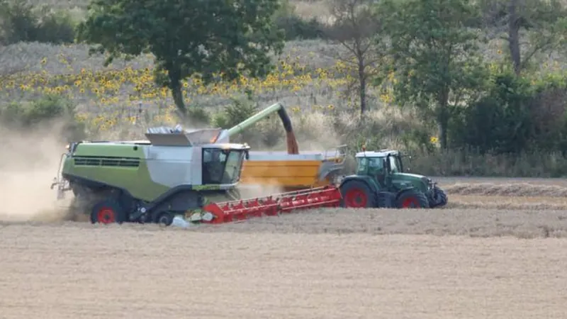 Endividamento rural avança em Mato Grosso com alta da inadimplência e renegociações