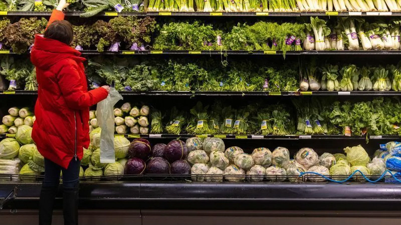 Consumo nos lares recua 1,46% em setembro ante agosto, revela Abras