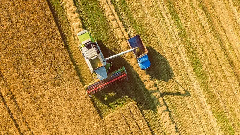 Plano Safra 2026/2027: R$ 610,3 bilhões em crédito rural com redução de juros e desafios para cooperativas