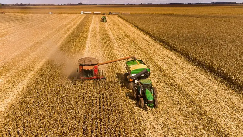 Produtores têm até 12 de novembro para renegociar dívidas rurais com condições especiais