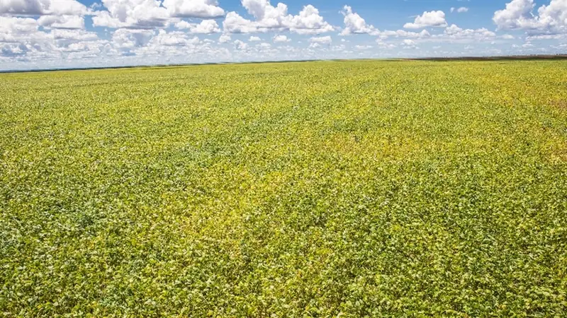 Resolução CMN 5.314/2026 altera regras de prorrogação do crédito rural