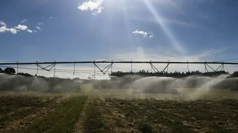 CMN aprova crédito de R$ 10 bilhões para inovação no agronegócio
